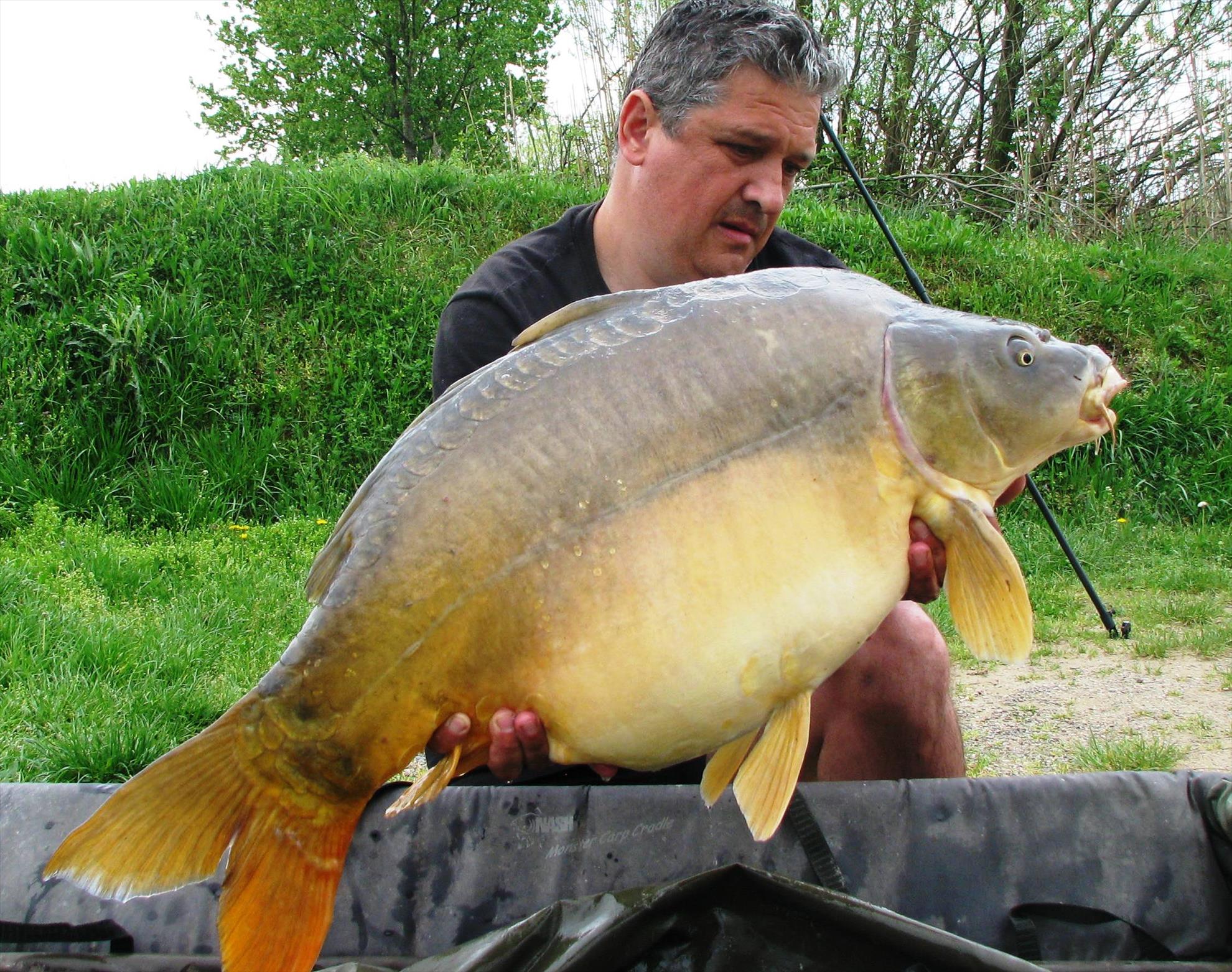 Pelagicevo Jezero  aprilie 2015 - img2065.JPG